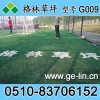 廠家直銷格林【人造草坪】夏季運(yùn)動(dòng)舒適 足球運(yùn)動(dòng)專用草