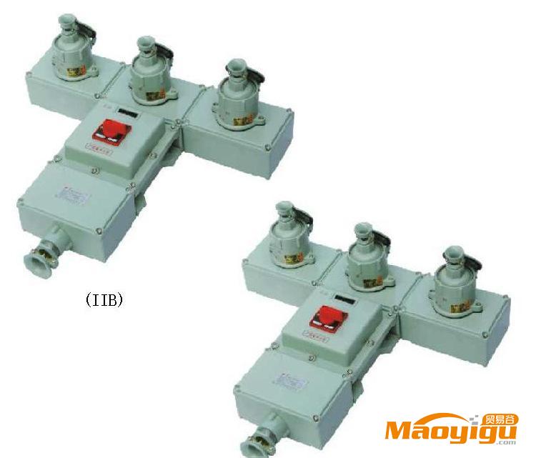 供應(yīng)OEMBXS系列BXS系列防爆檢修電源插座箱（I