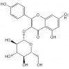 紫云英苷，百蕊草素I，槲皮素，槲皮苷，香葉木素