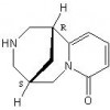 金雀花堿，蝙蝠葛蘇林堿，蝙蝠葛諾林堿，氯化木蘭堿