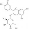 氯化矢車菊素-3-O-葡萄糖苷，氯化矢車菊素