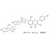 紅景天素，漢黃芩苷，野黃芩苷，草質(zhì)素，草質(zhì)素苷