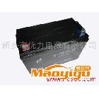 供應(yīng)優(yōu)力免維護(hù)蓄電池12V80Ah 0373-3336306