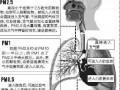 社科院報(bào)告稱霧霾天氣影響生殖能力 提高死亡率