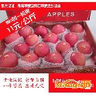 供應85#全紅一級果， 紅富士蘋果 煙臺鵬大食品 4.5kg一箱