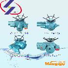 供應DZW防爆電動執(zhí)行器