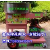 手推車彩色棉花糖機(jī),豪華型小車式棉花糖機(jī),花式棉花糖機(jī)