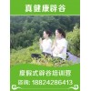 新聞：東莞清水辟谷可以學(xué)辟谷期間能吃葡萄