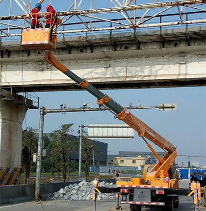 大悟哪有樹枝修剪車出租公司？