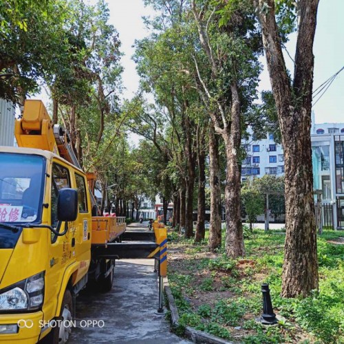 清道安裝車出租服務(wù)中心歡迎您