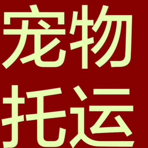 ：大連到淄博長(zhǎng)途臥鋪客車