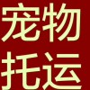 客運車訊）大連到諸城的長途客車