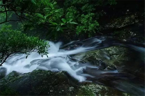 惠州雅居樂花園負(fù)面新聞到底是什么?-惠州開發(fā)商房產(chǎn)樓市焦點