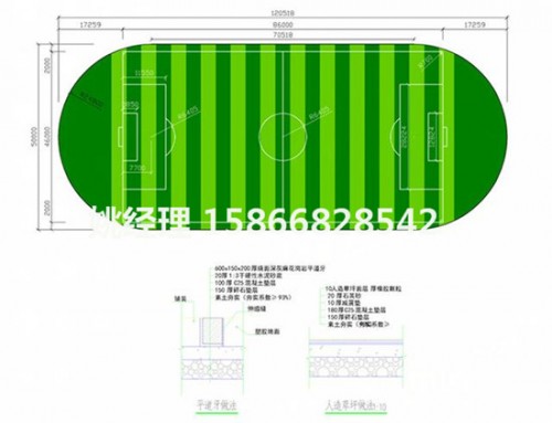 晉城11人足球場真草坪每方米(河北承德建設(shè)公司)