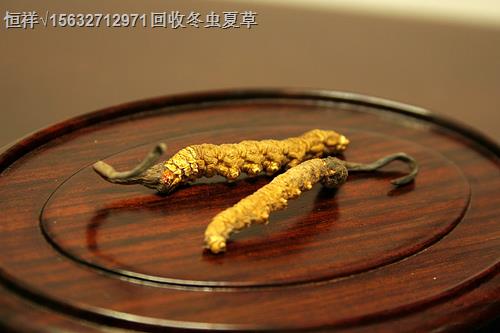 萍鄉(xiāng)回收冬蟲(chóng)夏草IV萍鄉(xiāng)回收蟲(chóng)草禮品