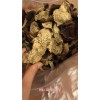 新聞:遼寧新會東甲陳皮禮品定制，送領(lǐng)導(dǎo)送長輩_新會陳皮好處(