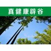 全國辟谷哪里好——廣東江門好消息