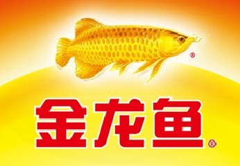 金龍魚